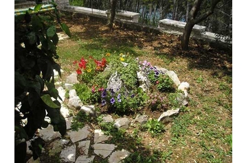 Kroatija Privát Okrug Donji, Eksterjeras